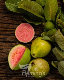 Testing Apple